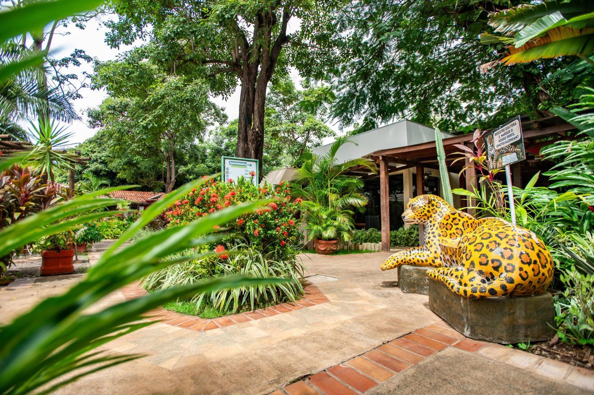 Hotel Fazenda Mato Grosso Cuiabá Kültér fotó